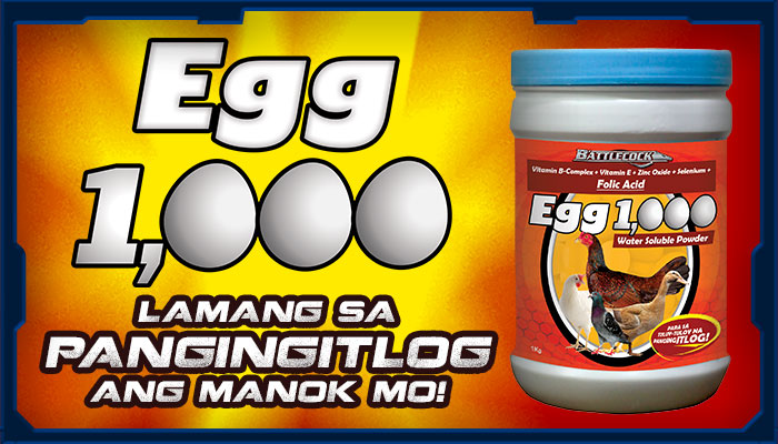 Egg 1000 Product